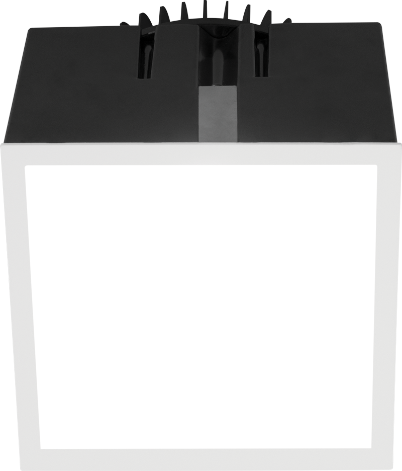 Flush Lens with Slim White Trim